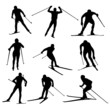 Nordic skiing vector