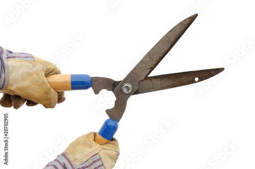 Photo: Gardener Holding a Hedge Trimmer Gardener Holding a Hedge Trimmer