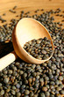 lentilles