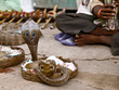 Snake charmer and two cobras in India