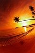 Tropical beach at sunset
