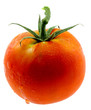 tomate mûre fond blanc tomate mûre fond blanc