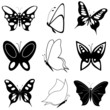 butterfly collection vector design butterfly collection vector design