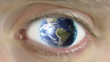 Ecology look