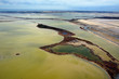 Camargue