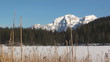 alpenpanorama mit see und schilf
