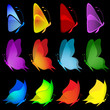 butterfly collection vector design butterfly collection vector design