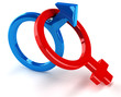 sexes