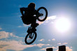 bicyclist