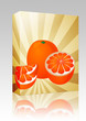 Orange sections illustration box package