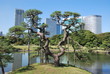 Parc Hama Rikyu à Tokyo