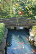 Jardin Japonais