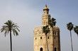 Torre del Oro