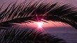 AMANECER ROJIZO