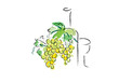 Weißwein