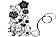 abstract floral