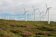 wind turbine