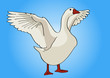 Gans