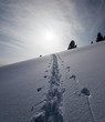 Skispur Skispur