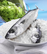 Fisch