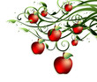 background with apples