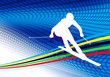 Skier