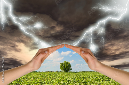 Foto: Two hands preserve a green tree against a thunder-storm Two hands preserve a green tree against a thunder-storm