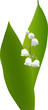 spring lily of the valley "Convallaria majalis" (vector)