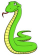Schlange, Mamba, Dschungel, gefährlich, giftig, Gift Schlange, Mamba, Dschungel, gefährlich, giftig, Gift