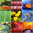 Couleurs du Japon