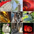 Composition asie zen
