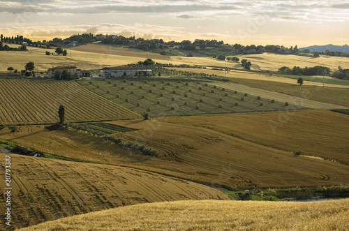 Romagna Mia!