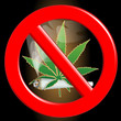 Marijuana-Cannabis-Joint