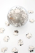 globe puzzle globe puzzle