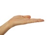 Handfläche