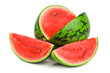Watermelon Watermelon