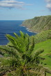Blick auf Atlantik auf Sao Miguel (Azoren)
