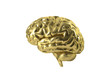 Golden Brain