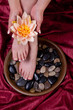 Photo: Female hands and feet with pedicure and manicure Female hands and feet with pedicure and manicure