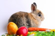 Osterhase mit Ei