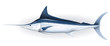 Marlin