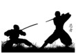ninjas