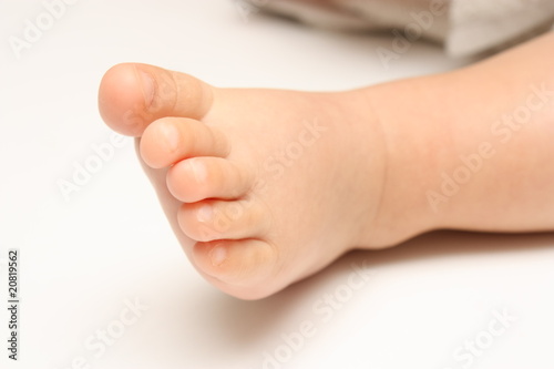 Photo: Pied Pied