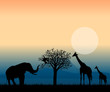 african landscape at sunset vector