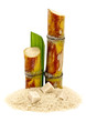 Sucre de canne