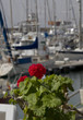 Puerto Calero
