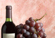 bottle of wine with grapevine