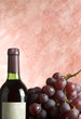 bottle of wine with grapevine
