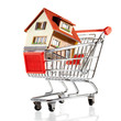 House and shopping cart