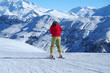 ski de piste